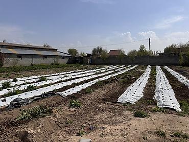 Продажа участков: 7 соток, Для строительства, Красная книга, Тех паспорт — 7