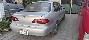 прадо prado: Toyota Corolla: 2000 г., 1.6 л, Автомат, Бензин, Седан — 5