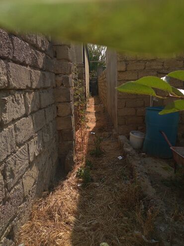 Torpaq sahələrinin satışı: 2 sot, Maklerlər narahat etməsin, Bələdiyyə — 3