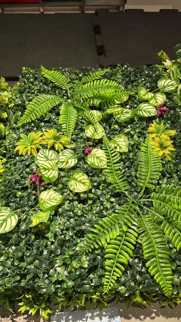 Bağ və bostan üçün digər məhsullar: Yasil hasarlarin ve suniqazonarin topdan ve perekende satisi endirimer — 13