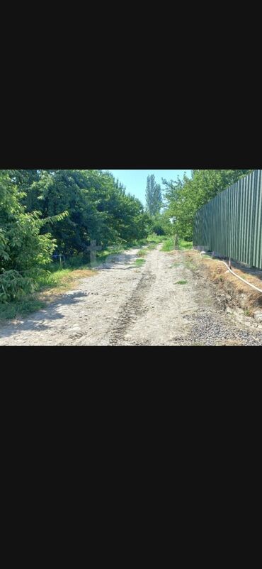 Ağaclar: Məhsul: Çiçəklənmə dövründə meyvə bağı (görünən ağaclar — 7