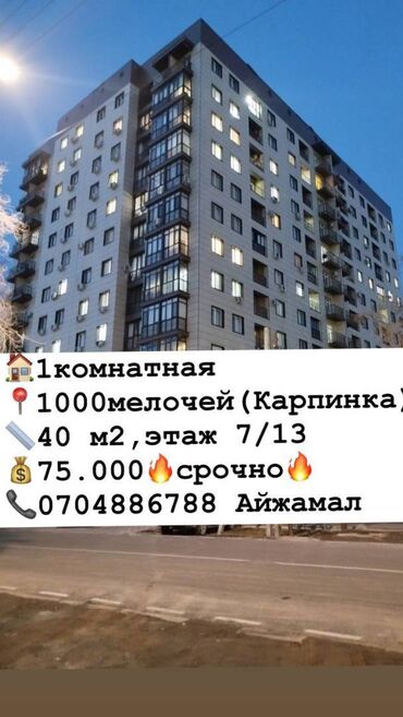 куплю квартиру карпинка фрунзе: 1 комната, 40 м², Элитка, 7 этаж, Евроремонт