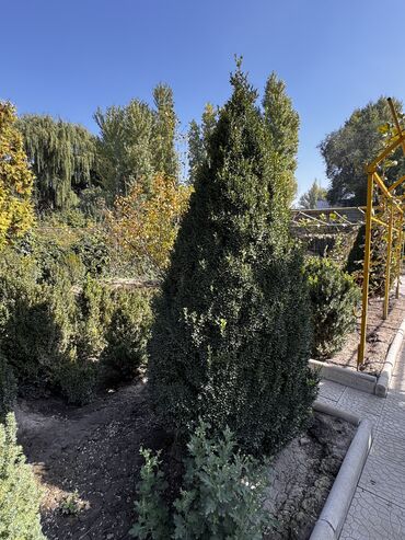 Продажа домов: Дом, 85 м², 4 комнаты, Собственник, Косметический ремонт — 27