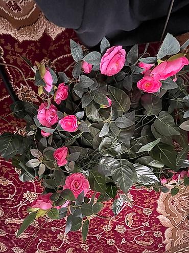 Другое оборудование для салонов красоты: Срочно продается все оборудование‼️‼️ Ресепшен 10.000 Неоновая — 18