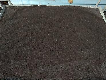 Сирень: Продаю саженцы. Сажать и пересаживать нижеперечисленное нужно весной — 23