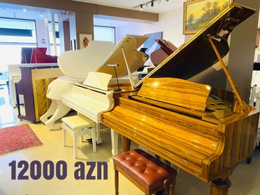 10588 elan: Royal Musiqi Alətləri Mağazalar Şəbəkəsi sizə 12000 AZN-dən başlayaraq