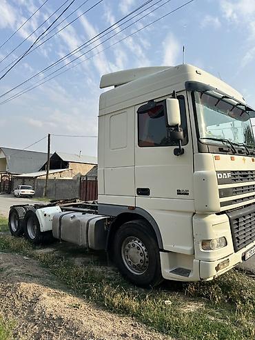Тягачи: Тягач, DAF, 2004 г., Без прицепа — 11