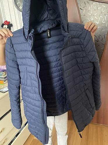 qadın üçün kurtkalar: 16 yaw oglan.Pierre Cardin kapitone kişilər üçün yüngül qışlıq/jelkət — 1