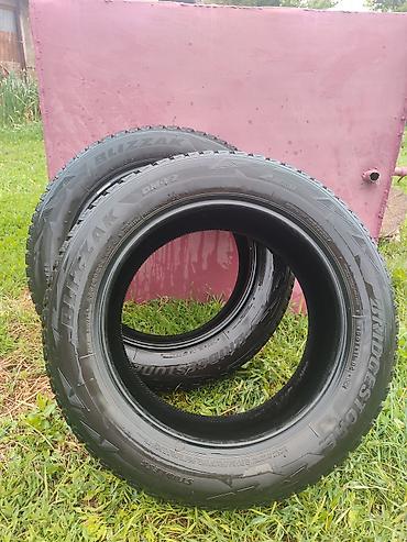 Шины: 235/60 R18 Bridgestone Blizzak DM-V2 — зимние шины для кроссоверов и — 1