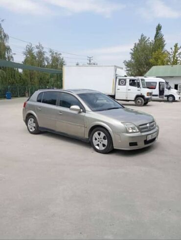 accord 2003: Opel Signum: 2003 г., 2.2 л, Автомат, Бензин