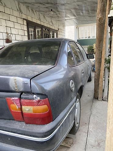 электромобиль byd e5 цена в бишкеке: Opel Vectra: 1996 г., 1.8 л, Механика, Бензин, Седан — 4