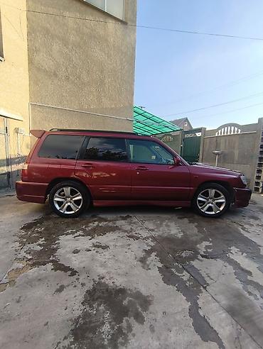 225 40 19: Subaru Forester: 2000 г., 2 л, Автомат, Бензин, Универсал — 3