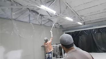 Покраска: Покраска ворот, Покраска потолков, Покраска стен, На масляной основе, На водной основе, Больше 6 лет опыта — 11