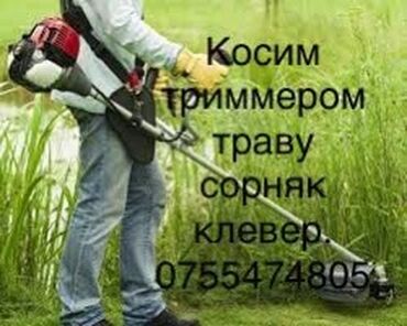 коса для травы: Предлагаем услуги по кошению травы, сорняков и клевера