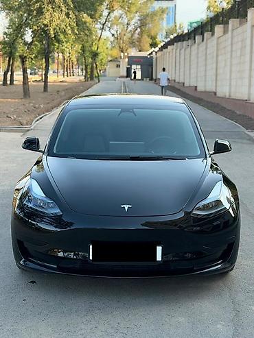tesla p40: Tesla Model 3: 2023 г., Электромобиль, Седан — 1