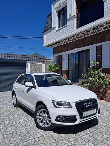 audi sukan: Audi Q5 – ağ rəngli, zərif və funksional premium SUV. Əsas — 2