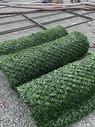 kələm gülü: 🌿 Yaşıl Hasar – Təbii Görünüş, Uzunömürlü Keyfiyyət! 🌿 🏗 Paslanmaz — 1