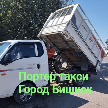 декоративные кролики: Вывоз мусора Вывоз мусора Вывоз мусора Вывоз мусора Вывоз мусора