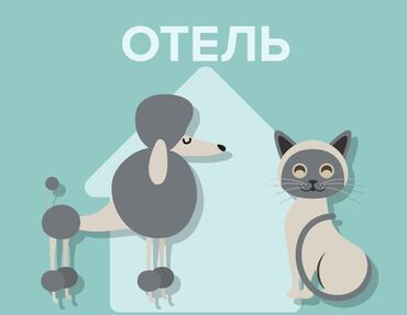 цветок золотая рыбка: Удобная и комфортная гостиница для ваших домашних питомцев, кошечек и