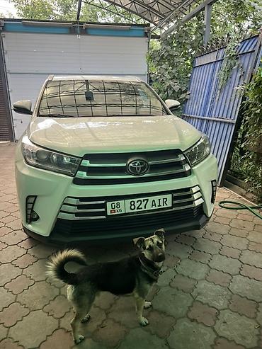 highlander 2017: Toyota Highlander: 2016 г., 3.5 л, Автомат, Бензин, Кроссовер — 1