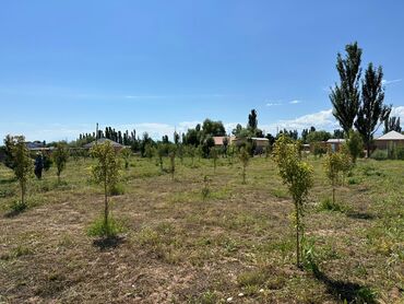 квартира жер уйдон берилет: 24 соток, Бизнес үчүн, Сатып алуу-сатуу келишими