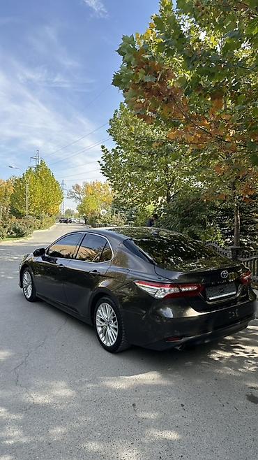 тайота в: Toyota Camry: 2019 г., 2.5 л, Автомат, Гибрид, Седан — 4