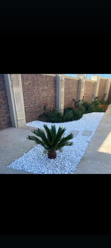 Toxumlar: Abadliq isleri qazon torf agaclar gul cicey bağlarda umumi abadliq — 6