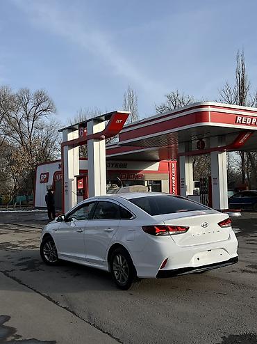 Hyundai: Hyundai Sonata: 2023 г., 2 л, Типтроник, Газ, Седан — 9