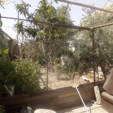 Həyət evləri və villaların satışı: Binəqədi qəs. 5 otaqlı, 110 kv. m, Kredit var, Orta təmir — 28