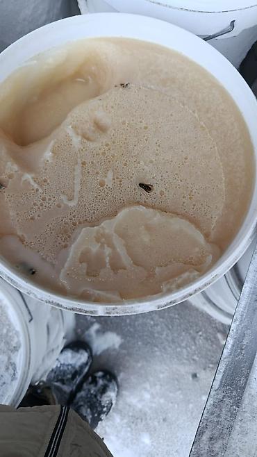 Мёд: Мёд Тюп и Каркара 20 тон анализ на антибиотик и пестициды прошел стоит — 2