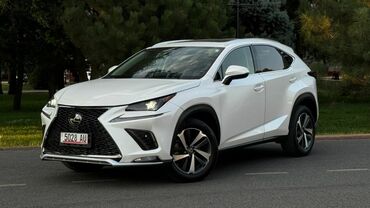 Lexus: Lexus NX: 2019 г., 2 л, Автомат, Бензин, Кроссовер