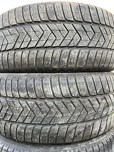 2555519: Шины 255 / 55 / R 19, Всесезонная, Б/у, Пара, Германия, Pirelli — 1