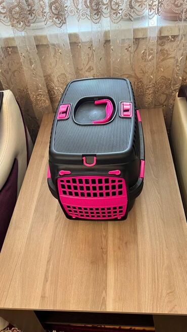 xacmazda satilan inekler: Yenidir Qiymət 25 azn at lalafo.az xacmazda satilan inekler: Yenidir Qiymət 25 azn