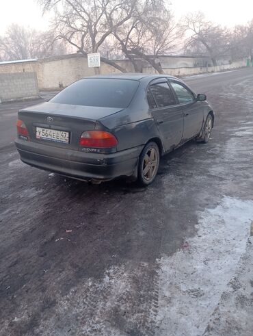 араб прадо: Toyota Avensis: 2000 г., 1.8 л, Механика, Бензин