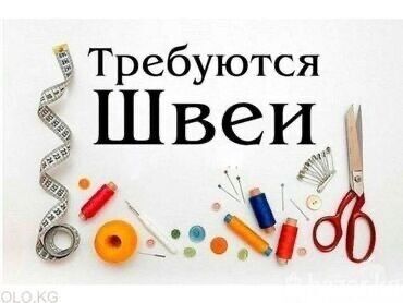 мужские брюки оптом: Требуются швеи. Района рынка Мадины. Одна модель. Женская двойка