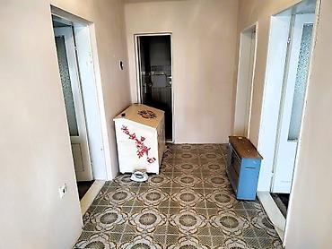 Kupujem kuću: Prodajem salaš sa velikim voćnjakom u Novom Kneževcu, blizu Mađarske — 4