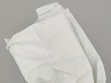 lee pearl: Camel, Koszula damska, rozmiar 3XL — 6