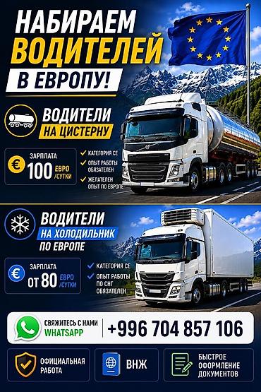 внж: Требуется Водитель грузового транспорта, Категория прав (CE), Официальное трудоустройство — 1
