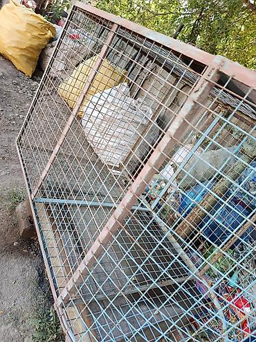 лампочка авто: Продаю контейнер для баклашек.
квадратный — 1