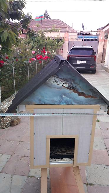 cucə yuvası: Məhsul: Açıq havada istifadə üçün pişik evi Təsvir: Qapalı pişik evi — 7