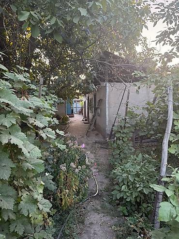 Продажа коттеджей и домов: Продается дом с участком 8,5 соток маевка Участок правильной формы — 7