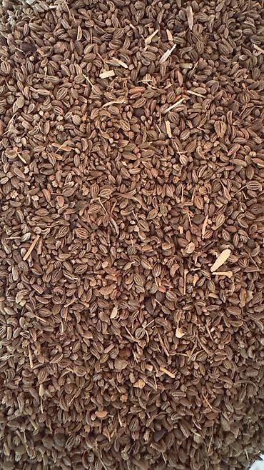 Toxumlar: ✨ 4 Mövsüm ✨ 🌱 Artıq evinizdə və bağçanızda təbii, dərmansız və — 8