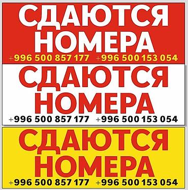 Недвижимость: Проживание в благоустроенном доме с несколькими спальнями формата — 1