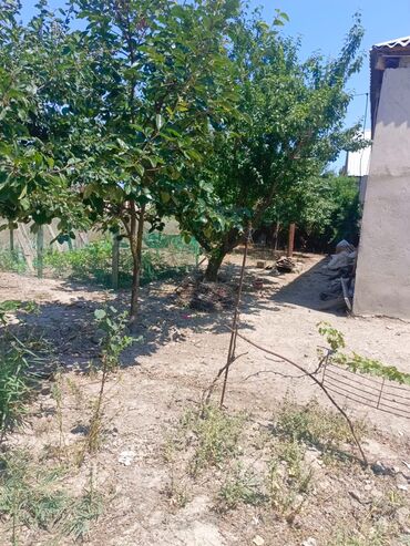 kirayə evlər sulutəpə: 3 otaqlı, 85 kv. m