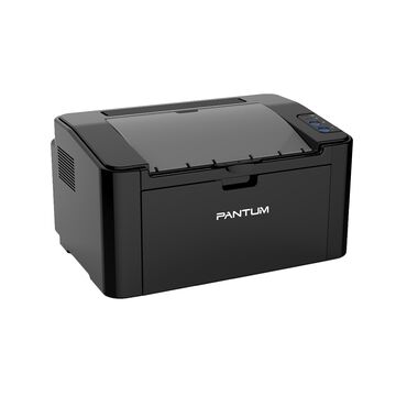 Ноутбуки, компьютеры: Принтер Pantum P2500W black (1200х1200 dpi, ч/б, 22 стр/мин, USB) WiFi