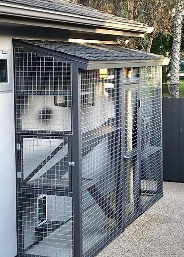 Qəfəslər: Pəncərə üçün “catio” – pişiklər üçün açıq, təhlükəsiz balkon-kafes - — 7