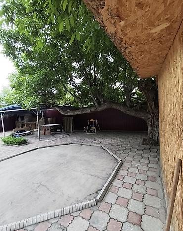 сделаю: 🔥 СРОЧНО ПРОДАЁТСЯ ДОМ В НОВОПОКРОВКЕ!! НЕ далеко от трассы улица" — 5