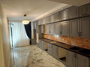 Yeni tikili: 4 otaqlı, Yeni tikili, 215 kv. m — 1