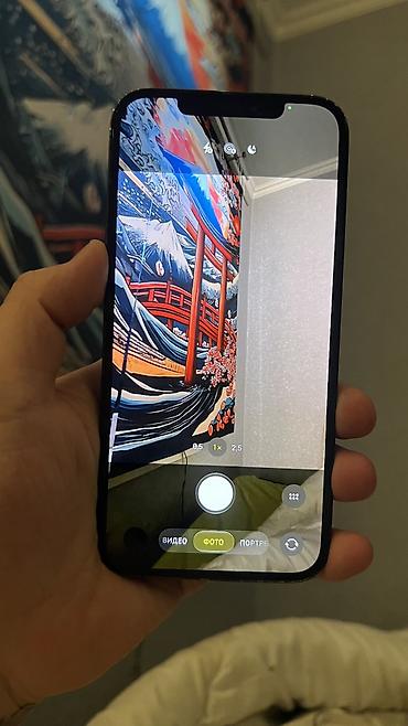 Apple iPhone: IPhone 12 Pro Max, Б/у, 256 ГБ, Pacific Blue, Чехол, 100 % — 3