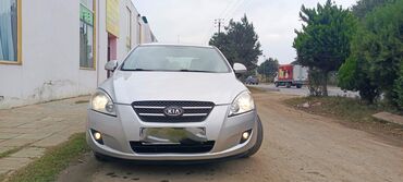 Kia: Kia Ceed: 1.6 l | 2007 il Hetçbek — 10